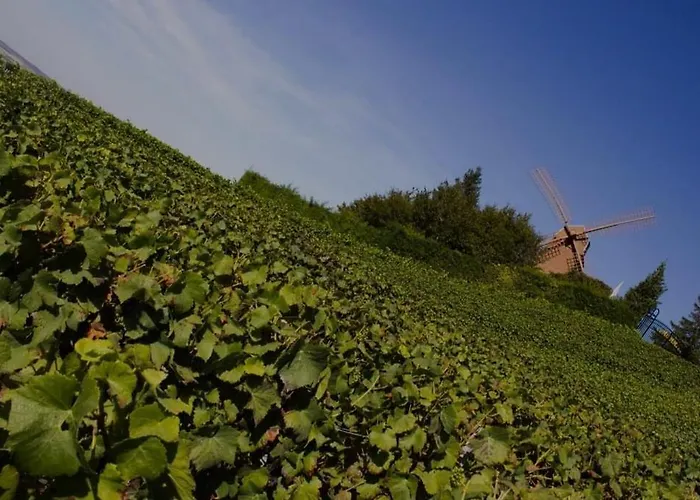 Le Fuseau De Reims